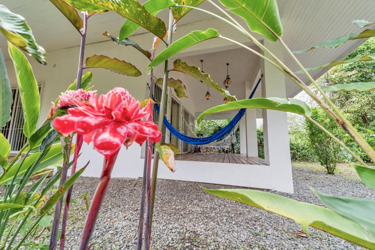 Pineapple House Manzanillo 빌라 외부 사진