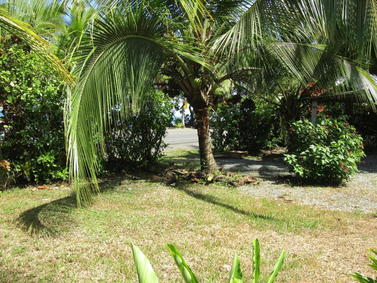Pineapple House Manzanillo 빌라 외부 사진